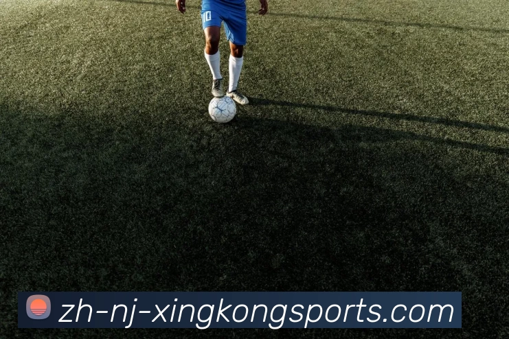 星空体育官网平台生态图